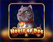 HOUSE OF DOG MC